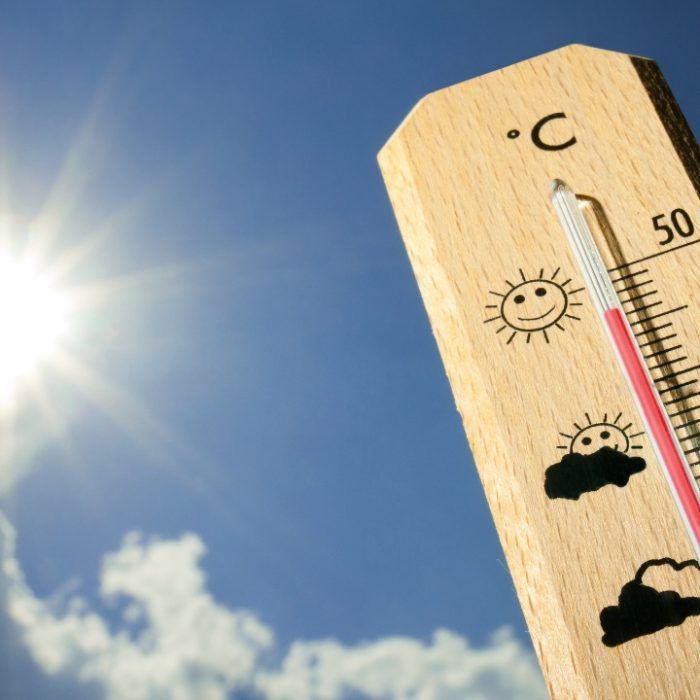 verano y salud mental